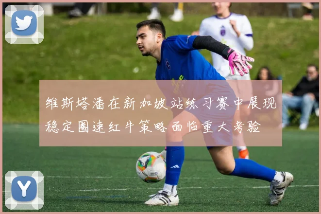 维斯塔潘在新加坡站练习赛中展现稳定圈速红牛策略面临重大考验